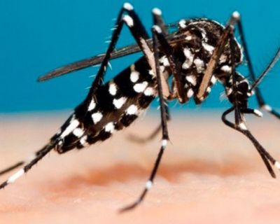 Santa Casa realiza ações de combate à Dengue (29/05/2019 15:06:33)