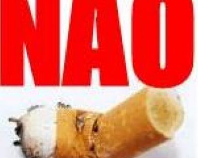 Dia Nacional de Combate ao Fumo (Data da publicacao)