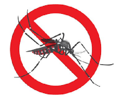 Dengue: Saiba Quando Procurar Atendimento Médico (23/02/2024 16:19:10)