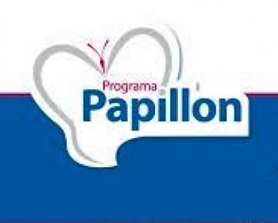 Programa Papillon: humanização e qualidade para colaboradores do SUE (Data da publicacao)