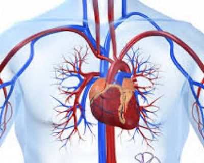 Santa Casa realiza Simpósio de Cardiologia Intervencionista (Data da publicacao)